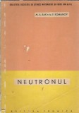 Cumpara ieftin Neutronul - M. A. Bak