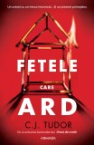 Fetele care ard - Cj Tudor - Editura Nemira