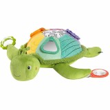 Centru de activitati XL - Broscuta testoasa