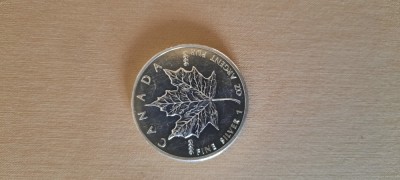 CANADA 5 DOLLAR 2013 FRUNZA ARTAR 31,1 GR ARGINT foto