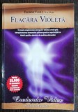 FLACARA VIOLETA - TEODOR VASILE