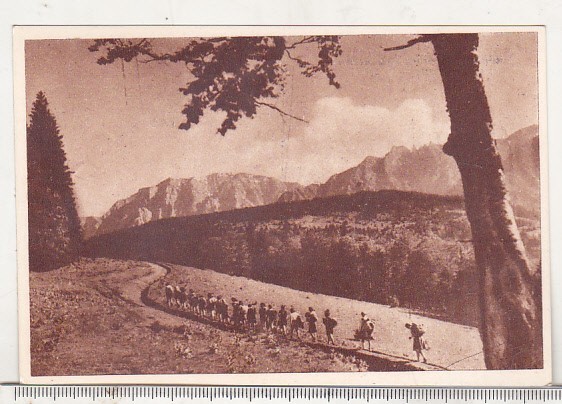 bnk cp Muntii Bucegi - Spre Diham - uzata