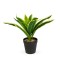 Planta artificiala decorativa - Copac de sofran cu dungi - 20 x 8,5 cm Best CarHome