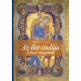 Az &eacute;let csod&aacute;ja - A J&aacute;nos-evang&eacute;lium - D&eacute;r Katalin