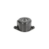 Intinzator curea BMW 3 cupe E92 DAYCO APV2536