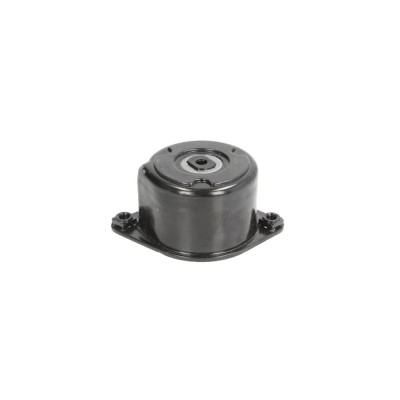Intinzator curea BMW 7 E65 E66 E67 DAYCO APV2536 foto