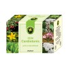 Ceai Cardiotonic 20pl Hypericum, Hypericum Plant
