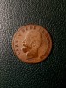 5 Bani 1884