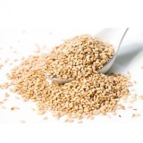 Susan alb seminte Pak Brand 1kg MGR17122