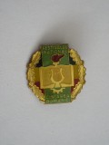 QW9 K 70 - Insigna - tematica arta comunism - Festivalul Cantarea Romaniei, Romania de la 1950