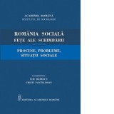 Romania sociala. Fete ale schimbarii. Procese, probleme, situatii sociale - Ilie Badescu, Cristi Pantelimon