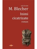 Inimi cicatrizate/M. Blecher