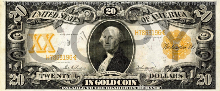 20 dolari 1906 Reproducere Bancnota USD , Dimensiune reala 1:1