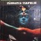 RABDAREA TIMPULUI-JOHN BRUNNER-262333