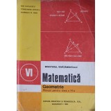 MATEMATICA. GEOMETRIE, MANUAL PENTRU CLASA A VI-A-ION CUCULESCU, LAURENTIU N. GAIU, CONSTANTIN OTTESCU-337626