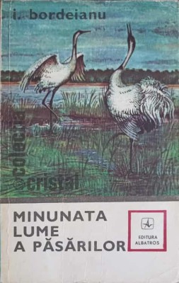 MINUNATA LUME A PASARILOR-I. BORDEIANU-273322 foto