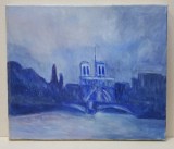 ARHITECT RADU MARIUS OCTAV - PARIS , VEDERE DE PE SENA , PEISAJ NESEMNAT