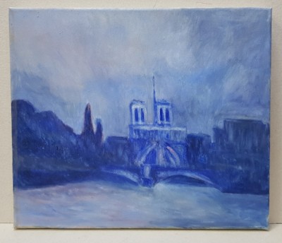 ARHITECT RADU MARIUS OCTAV - PARIS , VEDERE DE PE SENA , PEISAJ NESEMNAT foto