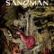 The Sandman Book Six