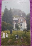 Carte Postala, Baia Mare, Sanatoriul Wagner, 1927