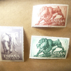 Serie Rio Muni colonie spaniola 1961 - Fauna , 3 valori