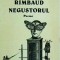 Mircea Dinescu - Rimbaud negustorul. Poeme