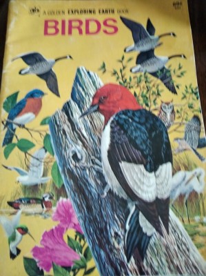 A GOLDEN EXPLORING EARTH BOOK BIRDS TD foto