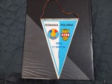 Fanion Romania - Polonia