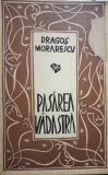 Dragos Morarescu - Pasarea vadastra (semnata) (Editia: 1980)