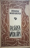 Dragos Morarescu - Pasarea vadastra (semnata) (1980)