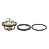 Termostat Behr