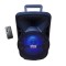 Boxa portabila cu Bluetooth ,cititor USB , card MicroSD , radio , microfon cu fir , negru