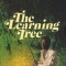 The Learning Tree