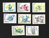 mongolia flori mnh