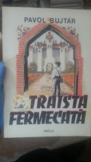 Traista fermecata &amp;amp;#8211; Pavol Bujtar foto