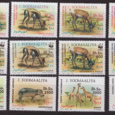 39 SOMALIA 1992 - serie completa de 12 timbre nestampilate,tematica animale,MNH