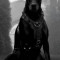 Husa Personalizata ALLVIEW A5 Duo Black Dog