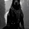Husa Personalizata MOTOROLA One Macro Black Dog
