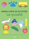 Marea carte de activitati. La scoala, Litera