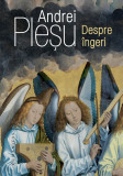 Cumpara ieftin Despre Ingeri, Andrei Plesu - Editura Humanitas