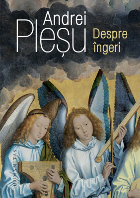 Despre Ingeri, Andrei Plesu - Editura Humanitas foto