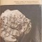 PRINTUL NEGRU-IRIS MURDOCH-275828