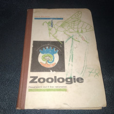 ZOOLOGIE MANUAL PENTRU ANUL II LECEE REAL UMANISTE 1976