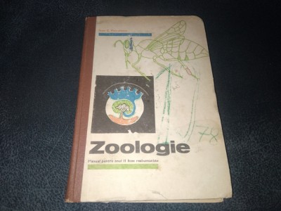 ZOOLOGIE MANUAL PENTRU ANUL II LECEE REAL UMANISTE 1976 foto