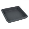 Farfurie Ghiveci Flori, Model Patrata, Dimensiune 20x20x2cm, Plastic, Culoare Antracit, Oem
