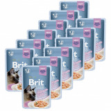 Cumpara ieftin Pliculeț BRIT Premium Cat Delicate Fillets in Gravy with Salmon for Sterilised 12 x 85 g