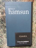 Foamea - Knut Hamsun