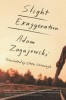 Slight Exaggeration: An Essay