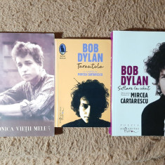 3 vol. Bob Dylan (biografie, roman, poeme: Cronica vieții mele, Tarantula etc.)