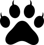 Cumpara ieftin Sticker Auto, Amprenta Animal, 25 cm, 12249ST-7, Oem